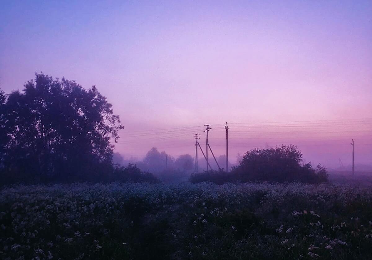 2500人挤爆小球馆！樊振东凭啥比万名球迷涌德甲足球还疯？